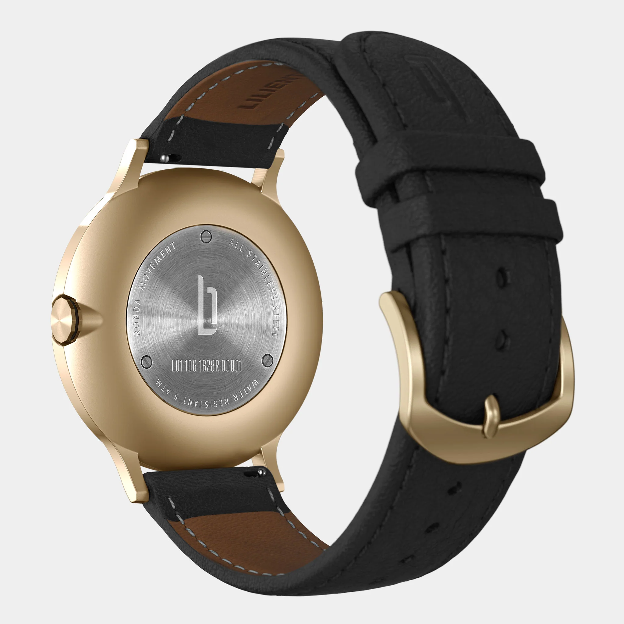 Lilienthal 1 – Gold Black - Image 7
